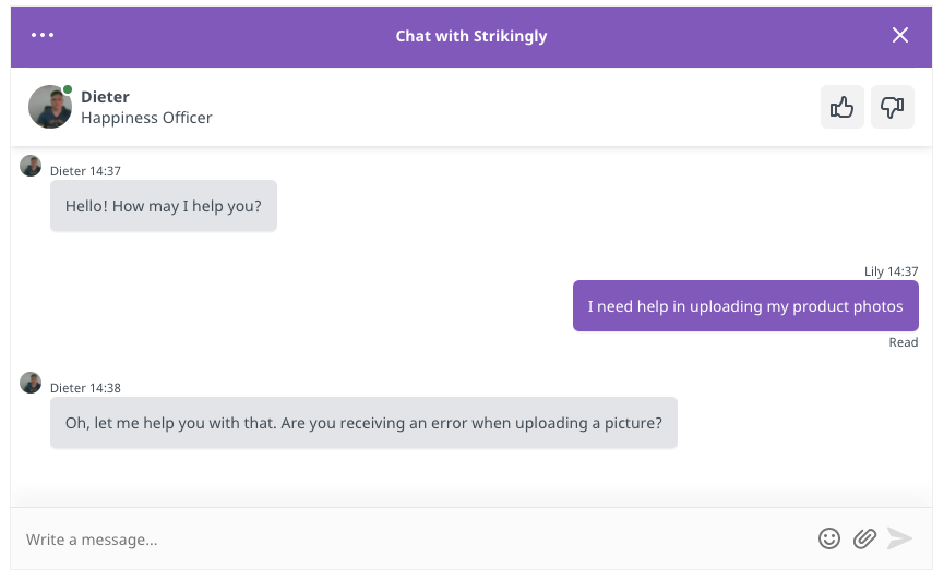 Screenshot of Strikingly live chat feature Screenshot of Strikingly live chat feature